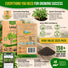Sage Seeds Pack 1.5 G