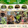 Sage Seeds Pack 1.5 G