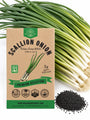 Scallion Onion Tokyo Long White Seeds - Organo Republic