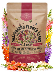 Snapdragon Seeds