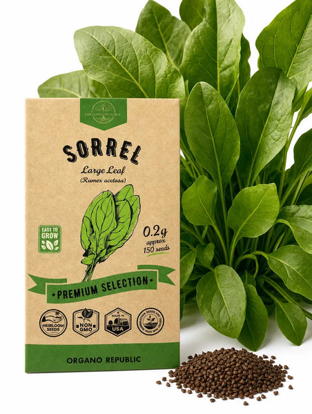 Sorrel Seeds