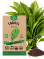 Sorrel Seeds - Organo Republic