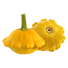 Scallop Squash - 6.5G