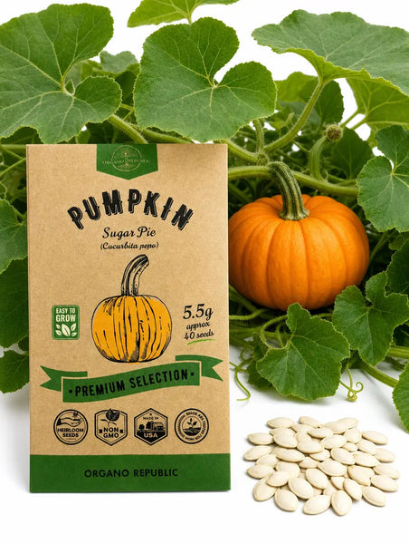 Sugar Pie Pumpkin Seeds