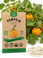 Sugar Pie Pumpkin Seeds - Organo Republic