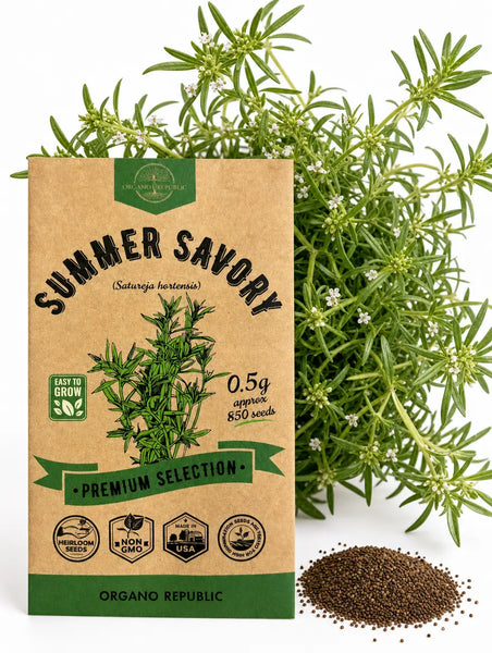 Summer Savory Seeds