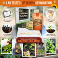 25 Summer Fruit & Vegetable Seeds Variety Pack