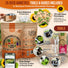 25 Summer Fruit & Vegetable Seeds Variety Pack
