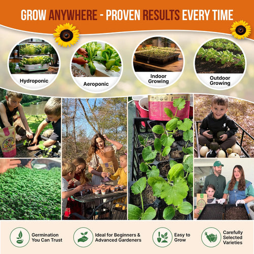 Summer Vegetable Seeds Variety Pack Organo Republic
