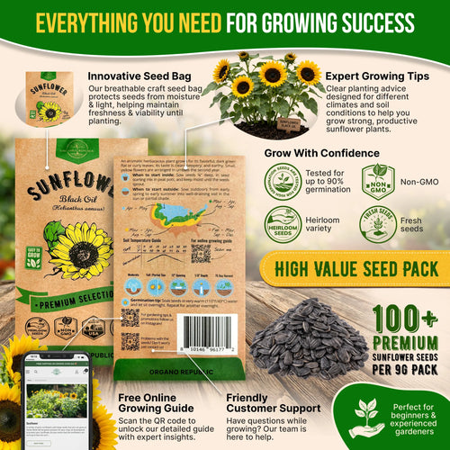 Sunflower Black Oil Seeds Pack 9G