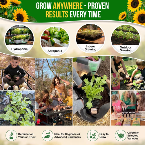 Sunflower Black Oil Seeds Pack 9G
