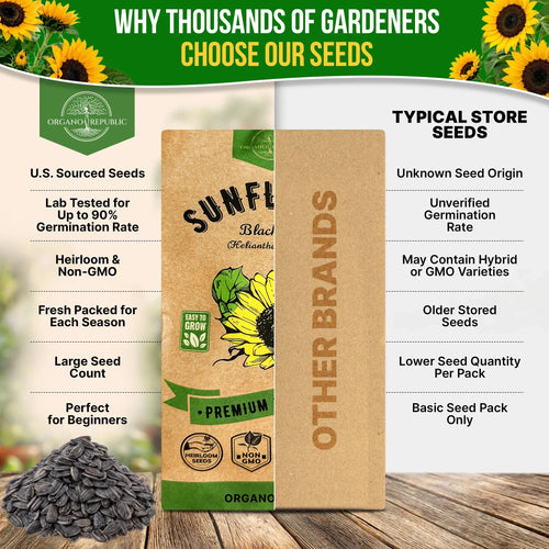 Sunflower Black Oil Seeds Pack 9G