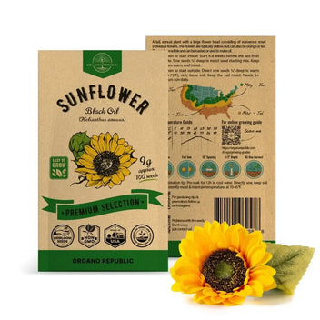 black oil sunflower seeds to plant Organo Republic Black Oil Sunflower Seeds, 100+ Non-GMO Heirloom Seeds, 9G Packet for Planting Indoors & Outdoors, Edible Sunflower Variety for Home