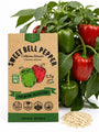 Sweet Bell Pepper California Wonder Seeds