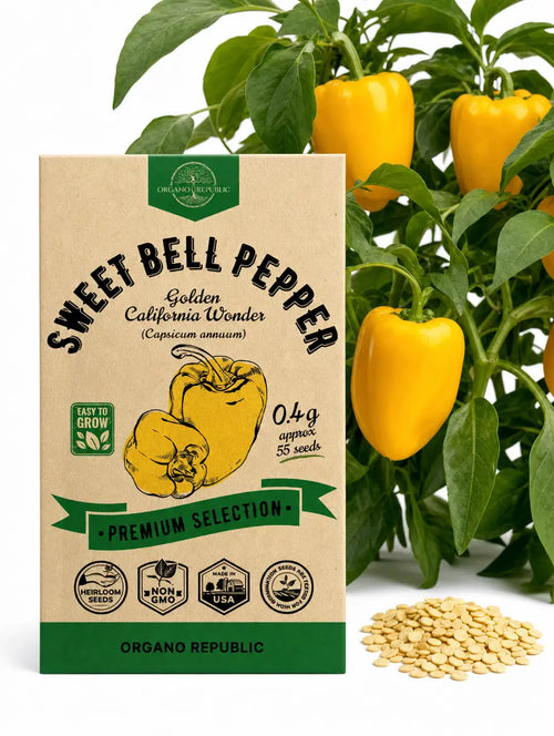Golden California Wonder Pepper Seeds – Non-GMO Heirloom