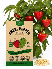 Pimento Pepper Seeds – Non-GMO Heirloom