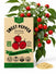 Sweet Pepper Red Cherry Seeds