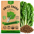 Swiss Chard Fordhook Seeds Pack 3.75G