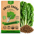 Swiss Chard Fordhook Seeds Pack 3.75G