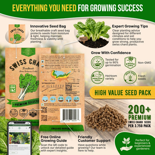 Swiss Chard Fordhook Seeds Pack 3.75G