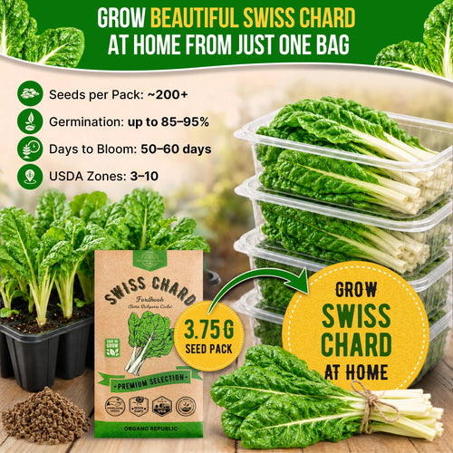 Swiss Chard Fordhook Seeds Pack 3.75G