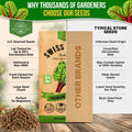 Swiss Chard Ruby Red Seeds Pack 3.75G