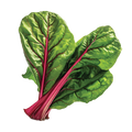 Swiss Chard Ruby Red - 3.75G