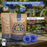 Tall Blue Cornflower Seeds Organo Republic