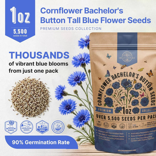 Tall Blue Cornflower Seeds Organo Republic