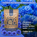 Tall Blue Cornflower Seeds Organo Republic