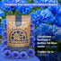 Tall Blue Cornflower Seeds Organo Republic