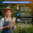 Tall Blue Cornflower Seeds Organo Republic