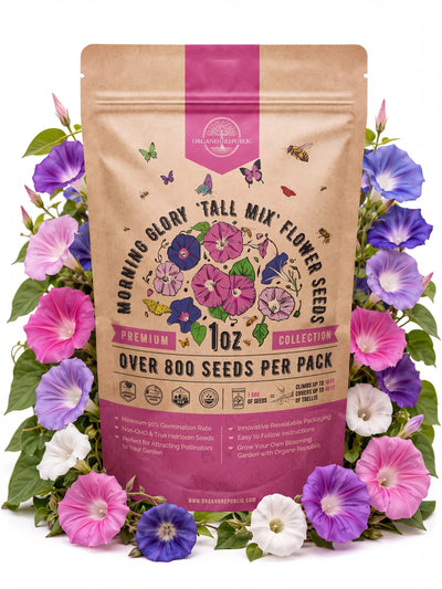 Tall Mix Morning Glory Seeds – Non-GMO Heirloom