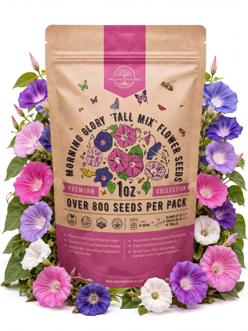 Tall Mix Morning Glory Seeds – Non-GMO Heirloom