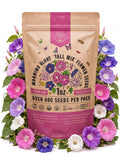 Tall Mix Morning Glory Seeds – Non-GMO Heirloom
