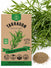 Tarragon Seeds - Organo Republic
