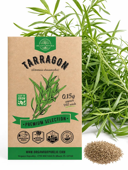 Tarragon Seeds