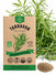 Tarragon Seeds - Organo Republic