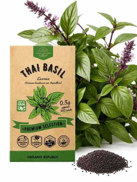 Thai Basil Licorice Seeds
