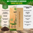 Thyme Seeds Pack 0.5 G
