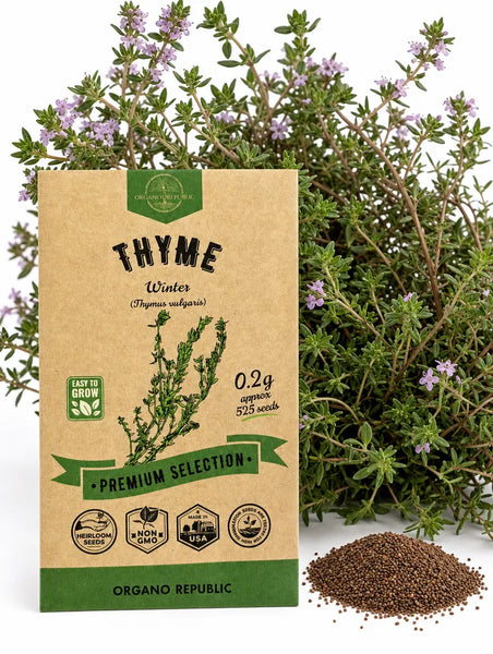 Thyme Seeds Organo Republic