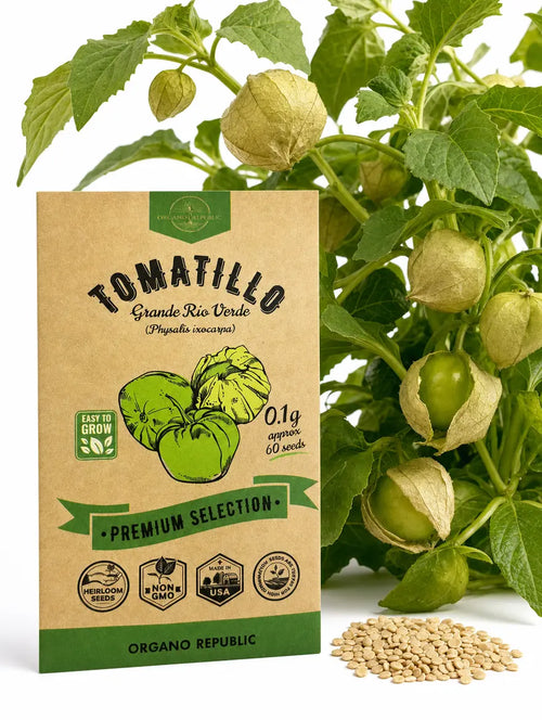 Tomatillo Grande Rio Verde Seeds