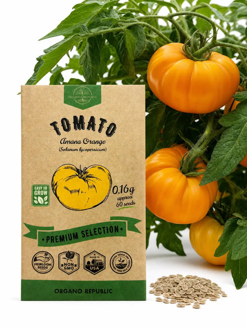 Tomato Amana Orange Seeds