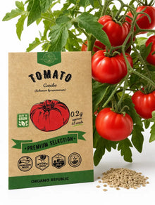 Caribe Tomato Seeds – Non-GMO Heirloom