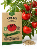Tomato Caribe Seeds