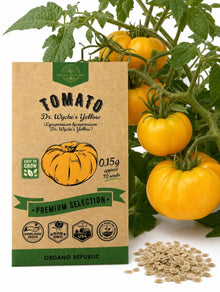 Dr. Wyche's Yellow Tomato Seeds – Non-GMO Heirloom