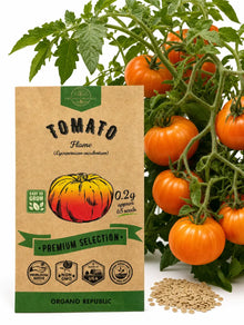 Flame Tomato Seeds – Non-GMO Heirloom