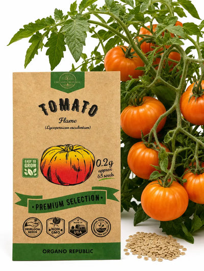 Tomato Flame Seeds