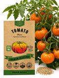 Tomato Flame Seeds