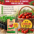 Tomato Large Cherry Seeds Pack 0.8G